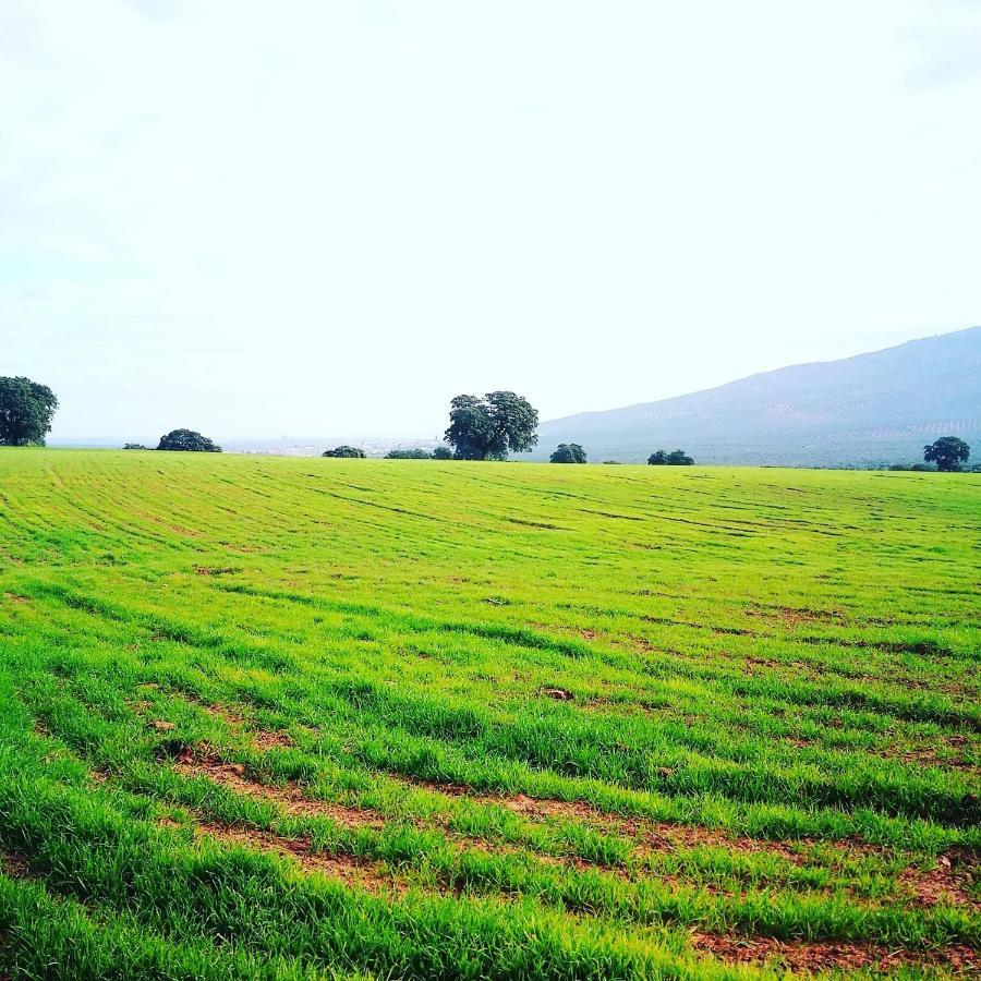 Finca El Vizconde Naturaleza Con Tus Hijos Arquillos Exterior foto