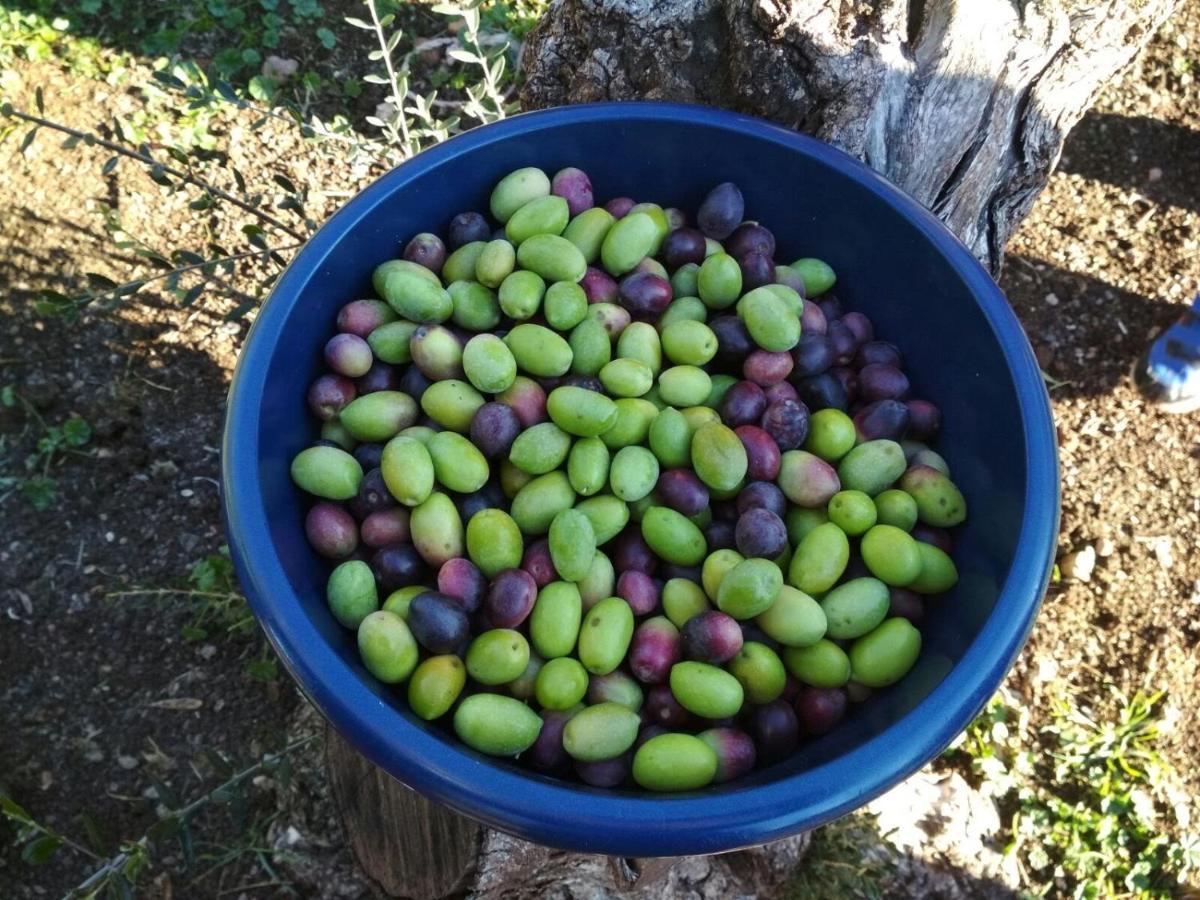 Finca El Vizconde Naturaleza Con Tus Hijos Arquillos Exterior foto