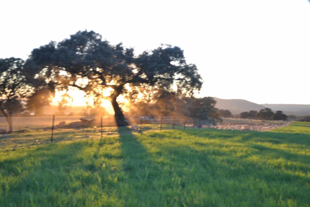 Finca El Vizconde Naturaleza Con Tus Hijos Arquillos Exterior foto