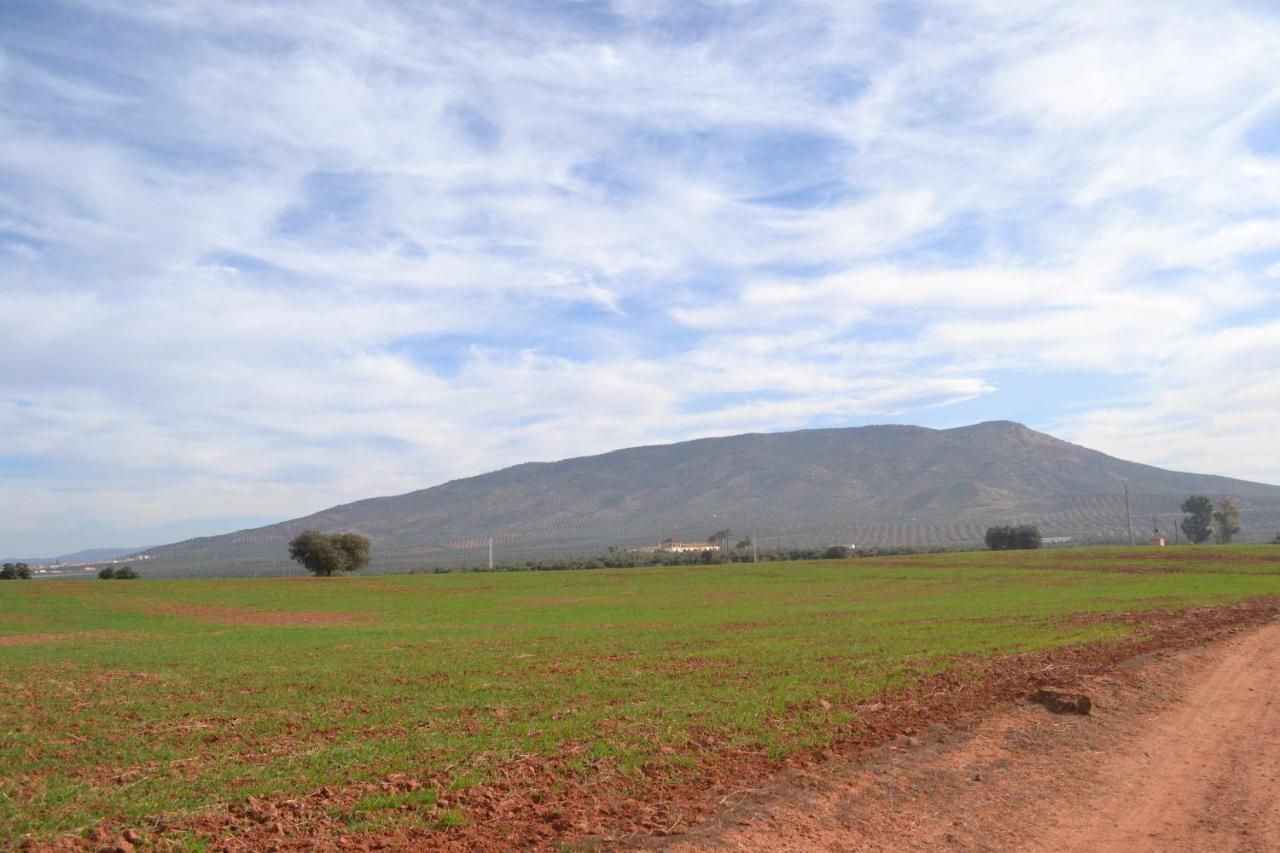 Finca El Vizconde Naturaleza Con Tus Hijos Arquillos Exterior foto
