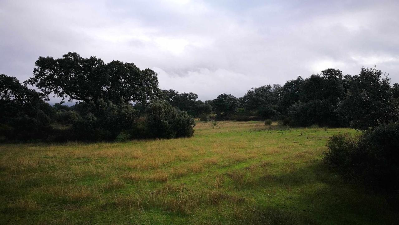 Finca El Vizconde Naturaleza Con Tus Hijos Arquillos Exterior foto